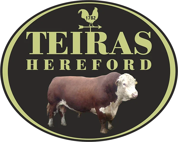 Teiras Hereford